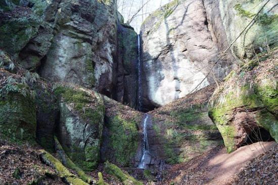 Haus Am Berg Villa Bad Bertrich Exteriör bild